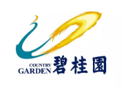 永春碧桂园地产